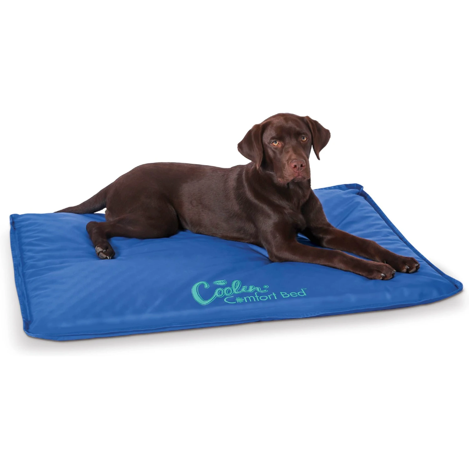 K&H Pet Products Coolin' Comfort Orthopedic Dog Bed 3 K&H Pet Products Coolin' Comfort Orthopedic Dog Bed