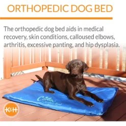 K&H Pet Products Coolin' Comfort Orthopedic Dog Bed 13 K&H Pet Products Coolin' Comfort Orthopedic Dog Bed -Blue Buffalos Shop 316722 PT3. AC SS1800 V1682706167