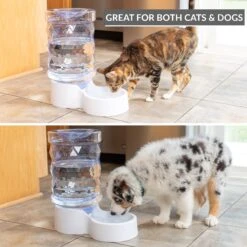 PetFusion H2O Gravity Dog & Cat Waterer -Blue Buffalos Shop 316743 PT2. AC SS1800 V1632182774
