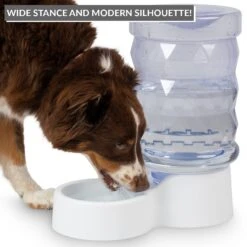 PetFusion H2O Gravity Dog & Cat Waterer -Blue Buffalos Shop 316743 PT5. AC SS1800 V1632181293