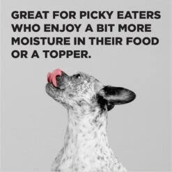 BIXBI Liberty Surf 'n Turf Ocean Whitefish, Beef Broth, Beef & Beef Liver Wet Dog Food, 12.5-oz Can, Case Of 12 -Blue Buffalos Shop 317477 PT3. AC SS1800 V1681394989