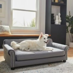 Frisco Sofa Pet Bed With Removable Cover & Frisco Eyelash Cat & Dog Blanket -Blue Buffalos Shop 319504 PT4. AC SS1800 V1630625195