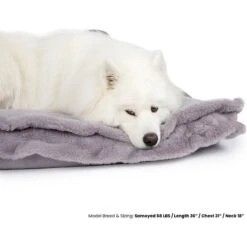 Nandog Cloud Collection Pillow Dog Bed -Blue Buffalos Shop 321794 PT2. AC SS1800 V1683313180