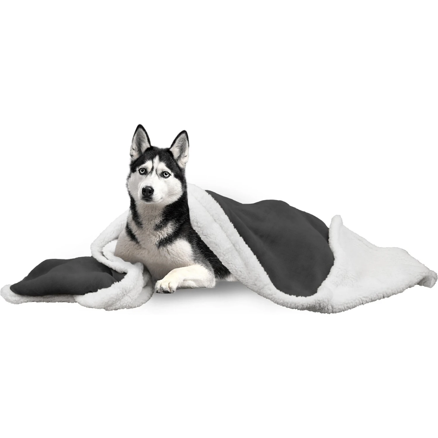 PetAmi Sherpa Cat & Dog Blanket 4 PetAmi Sherpa Cat & Dog Blanket - Image 2