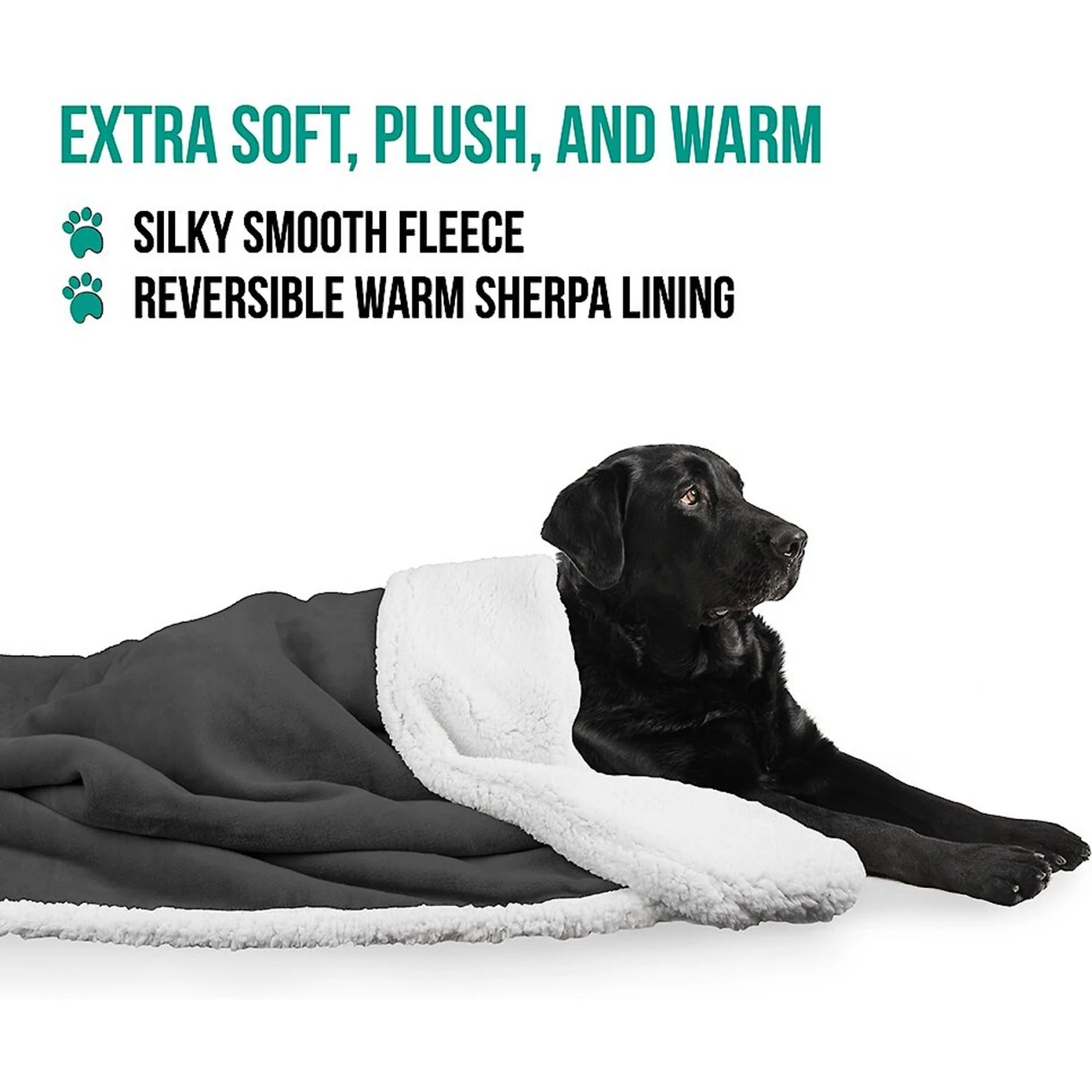 PetAmi Sherpa Cat & Dog Blanket 5 PetAmi Sherpa Cat & Dog Blanket - Image 3