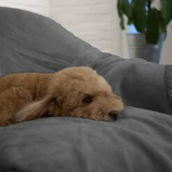 PetAmi Waterproof Couch Cat & Dog Blanket -Blue Buffalos Shop 326525 PT7. AC SS1800 V1631894016