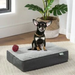 Zinus UltraPlush Green Tea Dog Bed, Grey, 5-in -Blue Buffalos Shop 327439 PT2. AC SS1800 V1631590311