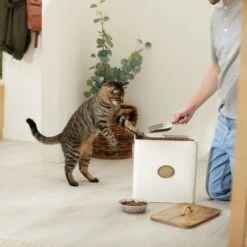 Frisco Premium Airtight Dog & Cat Food Storage Canister With Scoop -Blue Buffalos Shop 331486 PT3. AC SS1800 V1657656891