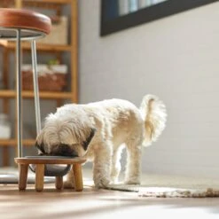 Frisco Premium Round Shape Elevated Single Dog & Cat Bowl -Blue Buffalos Shop 331502 PT2. AC SS1800 V1657656893