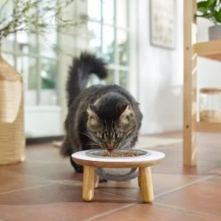 Frisco Premium Round Shape Elevated Single Dog & Cat Bowl -Blue Buffalos Shop 331502 PT3. AC SS1800 V1657656892