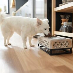 Frisco Premium Wood Elevated Stainless Steel Double Diner Dog & Cat Bowl, 3 Cup -Blue Buffalos Shop 331507 PT2. AC SS1800 V1657656894