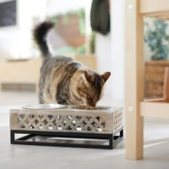 Frisco Premium Wood Elevated Stainless Steel Double Diner Dog & Cat Bowl, 3 Cup -Blue Buffalos Shop 331507 PT3. AC SS1800 V1657656894