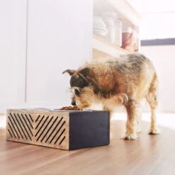 Frisco Premium Wood Elevated Stainless Steel Double Diner Dog & Cat Bowl, Black, 3 Cup -Blue Buffalos Shop 331509 PT2. AC SS1800 V1657656894