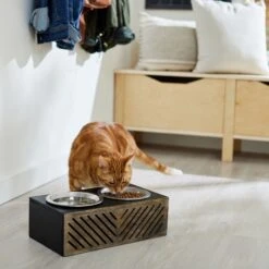 Frisco Premium Wood Elevated Stainless Steel Double Diner Dog & Cat Bowl, Black, 3 Cup -Blue Buffalos Shop 331509 PT3. AC SS1800 V1657656894