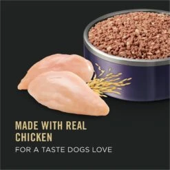 Purina Pro Plan Sport High Protein Chicken & Rice Entrée Wet Dog Food -Blue Buffalos Shop 331798 PT1. AC SS1800 V1632337573