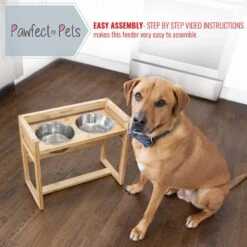 Pawfect Pets Adjustable Height Elevated Raised Dog Bowl Stand With Four Stainless Steel Bowls, Large -Blue Buffalos Shop 333592 PT3. AC SS1800 V1634079424