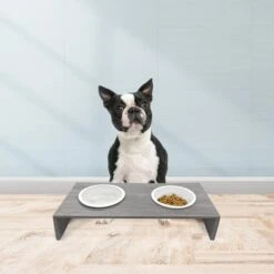 Cosmo Furbabies Double Dog & Cat Diner, Gray 13 Cosmo Furbabies Double Dog & Cat Diner, Gray -Blue Buffalos Shop 341993 PT5. AC SS1800 V1636063012