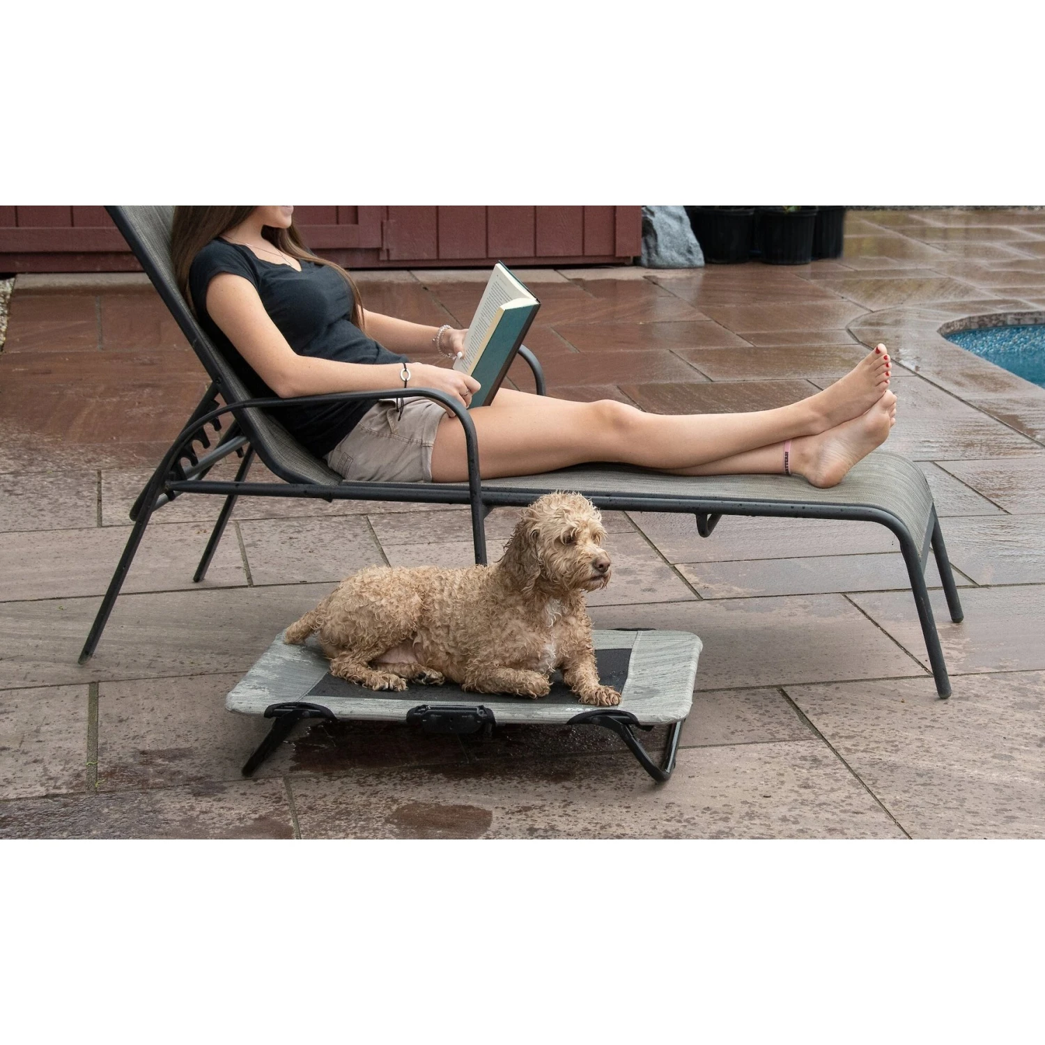Pet Gear Pet Cot Dog Bed 8 Pet Gear Pet Cot Dog Bed - Image 6