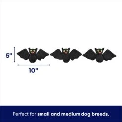 Frisco Halloween Haunted House Hide & Seek Puzzle Plush Squeaky Dog Toy 10 Frisco Halloween Haunted House Hide & Seek Puzzle Plush Squeaky Dog Toy -Blue Buffalos Shop 344136 PT2. AC SS1800 V1690911191