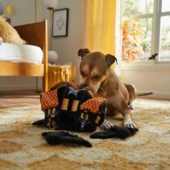 Frisco Halloween Haunted House Hide & Seek Puzzle Plush Squeaky Dog Toy 11 Frisco Halloween Haunted House Hide & Seek Puzzle Plush Squeaky Dog Toy -Blue Buffalos Shop 344136 PT3. AC SS1800 V1657657042