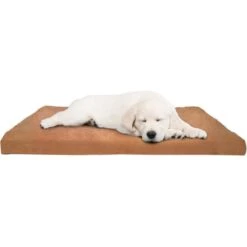 Pet Adobe Foam Covered Dog Bed