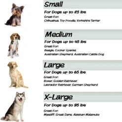 Pet Adobe Foam Covered Dog Bed -Blue Buffalos Shop 344921 PT4. AC SS1800 V1637283704