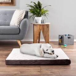 Pet Adobe Bamboo Charcoal-Infused Foam Covered Dog Bed -Blue Buffalos Shop 344923 PT5. AC SS1800 V1637280823