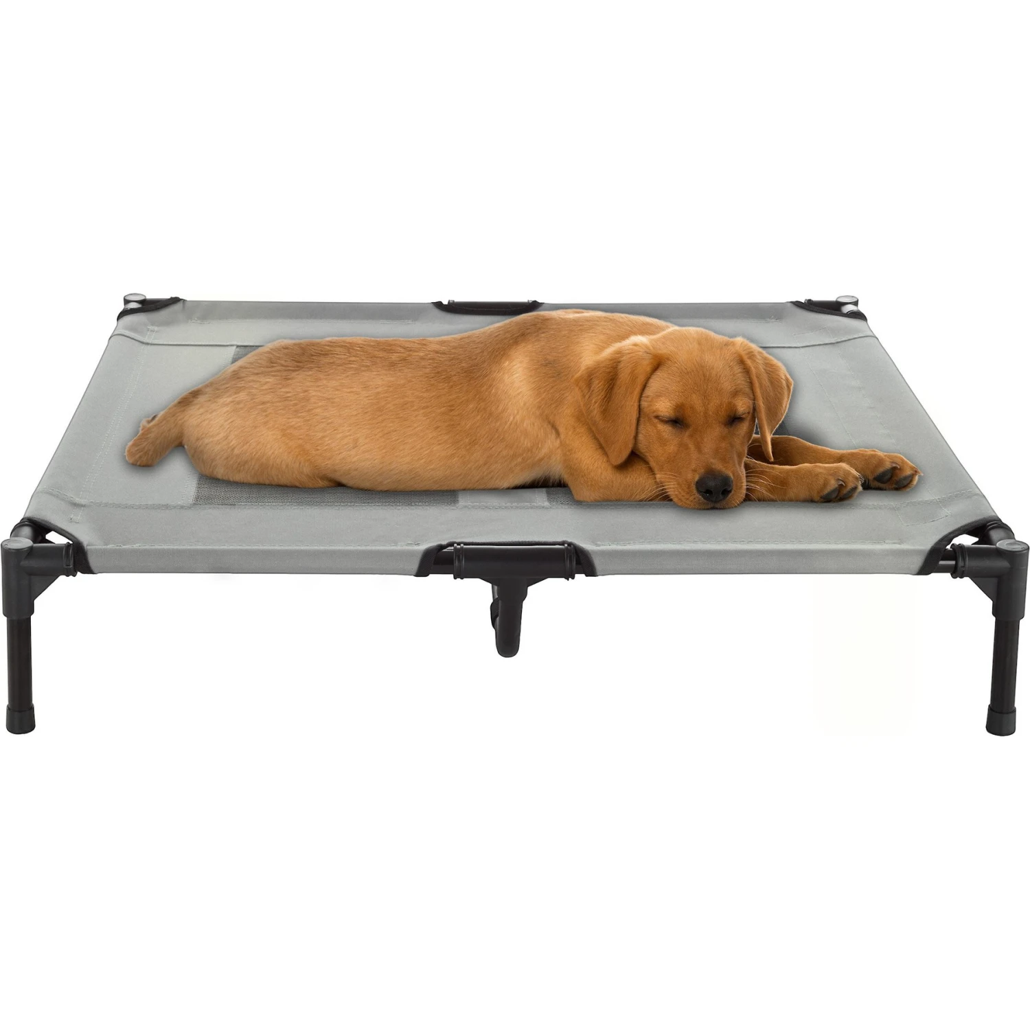 Pet Adobe Cot-Style Elevated Pet Bed 3 Pet Adobe Cot-Style Elevated Pet Bed