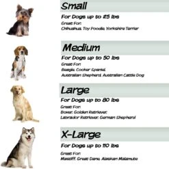 Pet Adobe Cot-Style Elevated Pet Bed 14 Pet Adobe Cot-Style Elevated Pet Bed -Blue Buffalos Shop 344932 PT4. AC SS1800 V1637282828