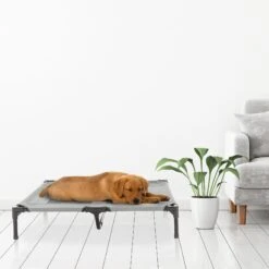 Pet Adobe Cot-Style Elevated Pet Bed 16 Pet Adobe Cot-Style Elevated Pet Bed -Blue Buffalos Shop 344932 PT6. AC SS1800 V1637285803