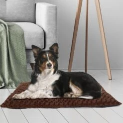 Pet Adobe Cushioned Covered Dog Bed 13 Pet Adobe Cushioned Covered Dog Bed -Blue Buffalos Shop 344955 PT4. AC SS1800 V1637280158