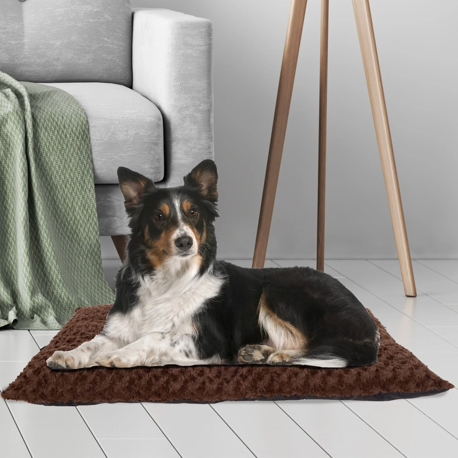 Pet Adobe Cushioned Covered Dog Bed 7 Pet Adobe Cushioned Covered Dog Bed - Image 5