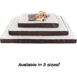 Pet Adobe Odor Resistant Orthopedic Covered Dog Bed 17 Pet Adobe Odor Resistant Orthopedic Covered Dog Bed -Blue Buffalos Shop 344968 PT7. AC SS1800 V1637284019