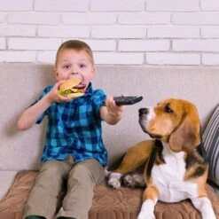 Pet Adobe Furniture Cover & Protector Pad -Blue Buffalos Shop 345074 PT3. AC SS1800 V1637285843