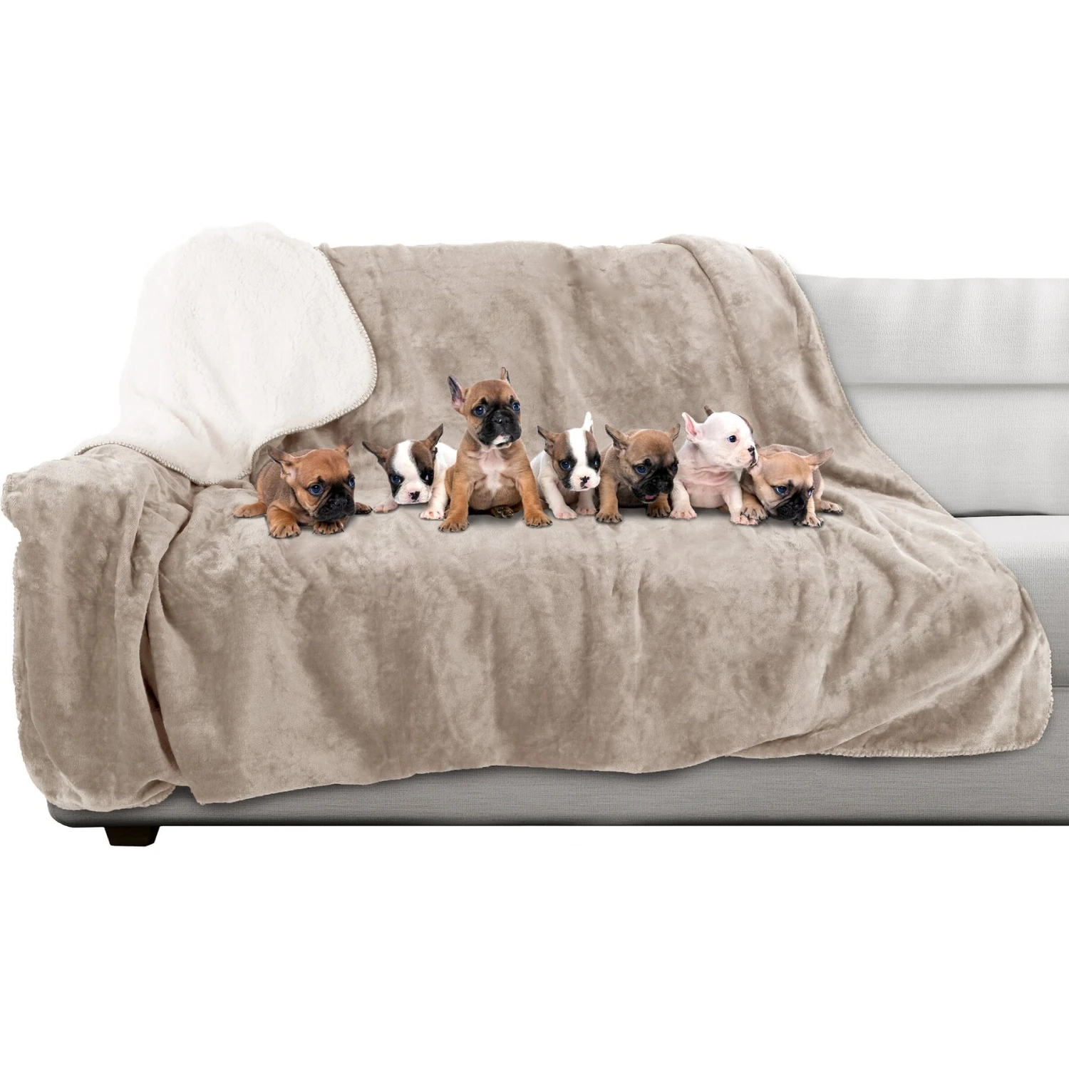 Pet Adobe Waterproof Pet Throw Blanket 9 Pet Adobe Waterproof Pet Throw Blanket - Image 7