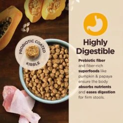 Wellness CORE Digestive Health Puppy Chicken & Brown Rice Dry Dog Food -Blue Buffalos Shop 347659 PT3. AC SS1800 V1638467005