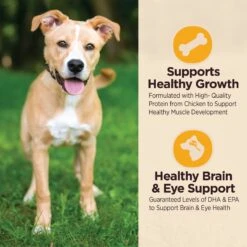 Wellness CORE Digestive Health Puppy Chicken & Brown Rice Dry Dog Food -Blue Buffalos Shop 347659 PT4. AC SS1800 V1638467011
