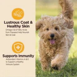 Wellness CORE Digestive Health Puppy Chicken & Brown Rice Dry Dog Food -Blue Buffalos Shop 347659 PT5. AC SS1800 V1638465406