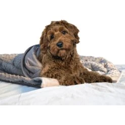Archstone Pets Weighted Dog & Cat Blanket, Gray -Blue Buffalos Shop 349099 PT2. AC SS1800 V1641920719