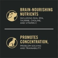Purina Pro Plan Sport Development High-Protein 30/20 Chicken & Rice Formula Puppy Food 14 Purina Pro Plan Sport Development High-Protein 30/20 Chicken & Rice Formula Puppy Food -Blue Buffalos Shop 352972 PT3. AC SS1800 V1649203598