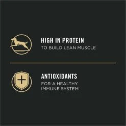 Purina Pro Plan Sport Puppy High Protein Chicken & Rice Wet Dog Food, 13-oz Can, Case Of 12 -Blue Buffalos Shop 352974 PT3. AC SS1800 V1638474988