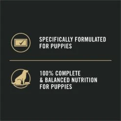 Purina Pro Plan Sport Puppy High Protein Chicken & Rice Wet Dog Food, 13-oz Can, Case Of 12 -Blue Buffalos Shop 352974 PT7. AC SS1800 V1638480426