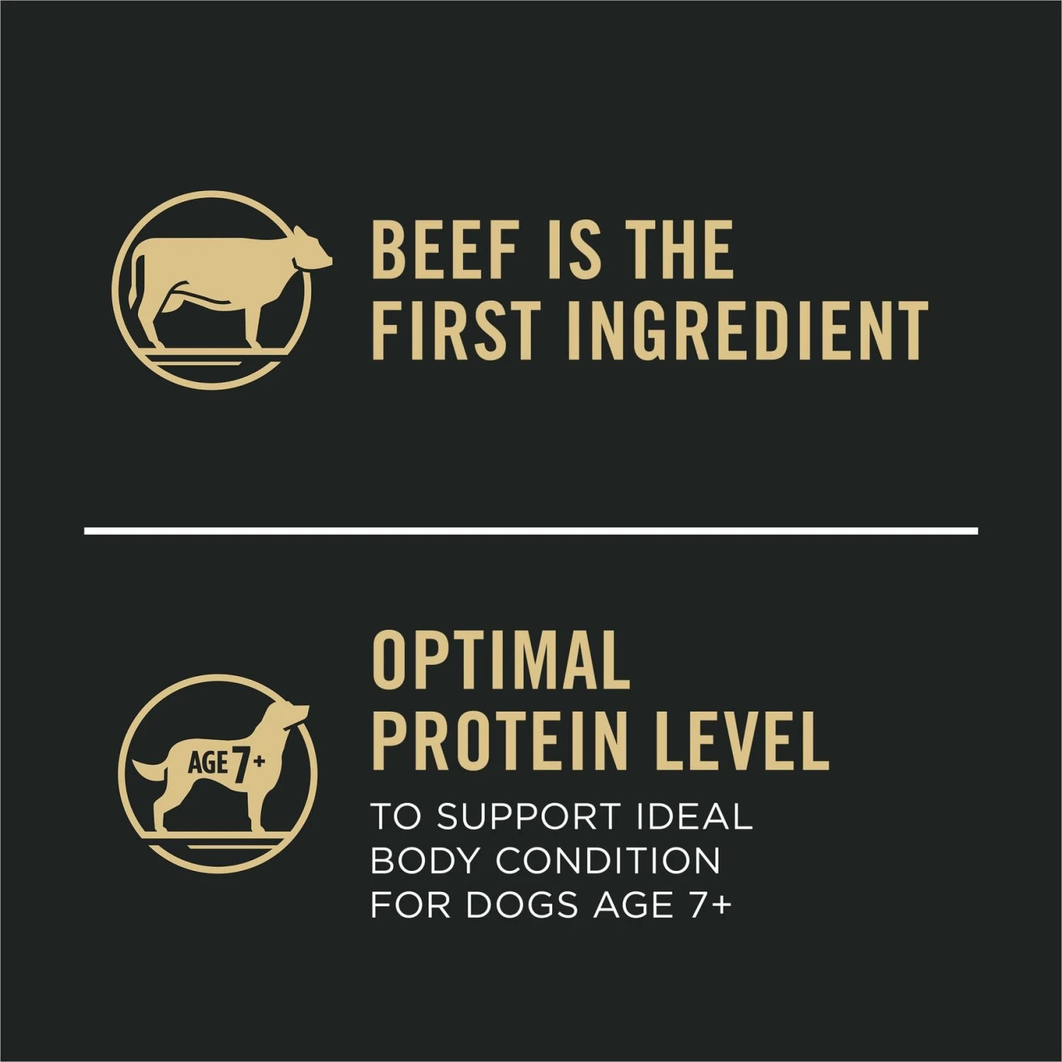 Purina Pro Plan 7+ Complete Essentials Shredded Blend Beef & Rice Formula High Protein Dog Food 9 Purina Pro Plan 7+ Complete Essentials Shredded Blend Beef & Rice Formula High Protein Dog Food - Image 7