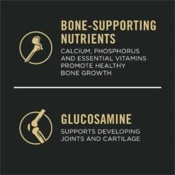 Purina Pro Plan Sport Development Large Breed High-Protein 30/18 Chicken & Rice Formula Puppy Food 18 Purina Pro Plan Sport Development Large Breed High-Protein 30/18 Chicken & Rice Formula Puppy Food -Blue Buffalos Shop 352983 PT7. AC SS1800 V1661829773