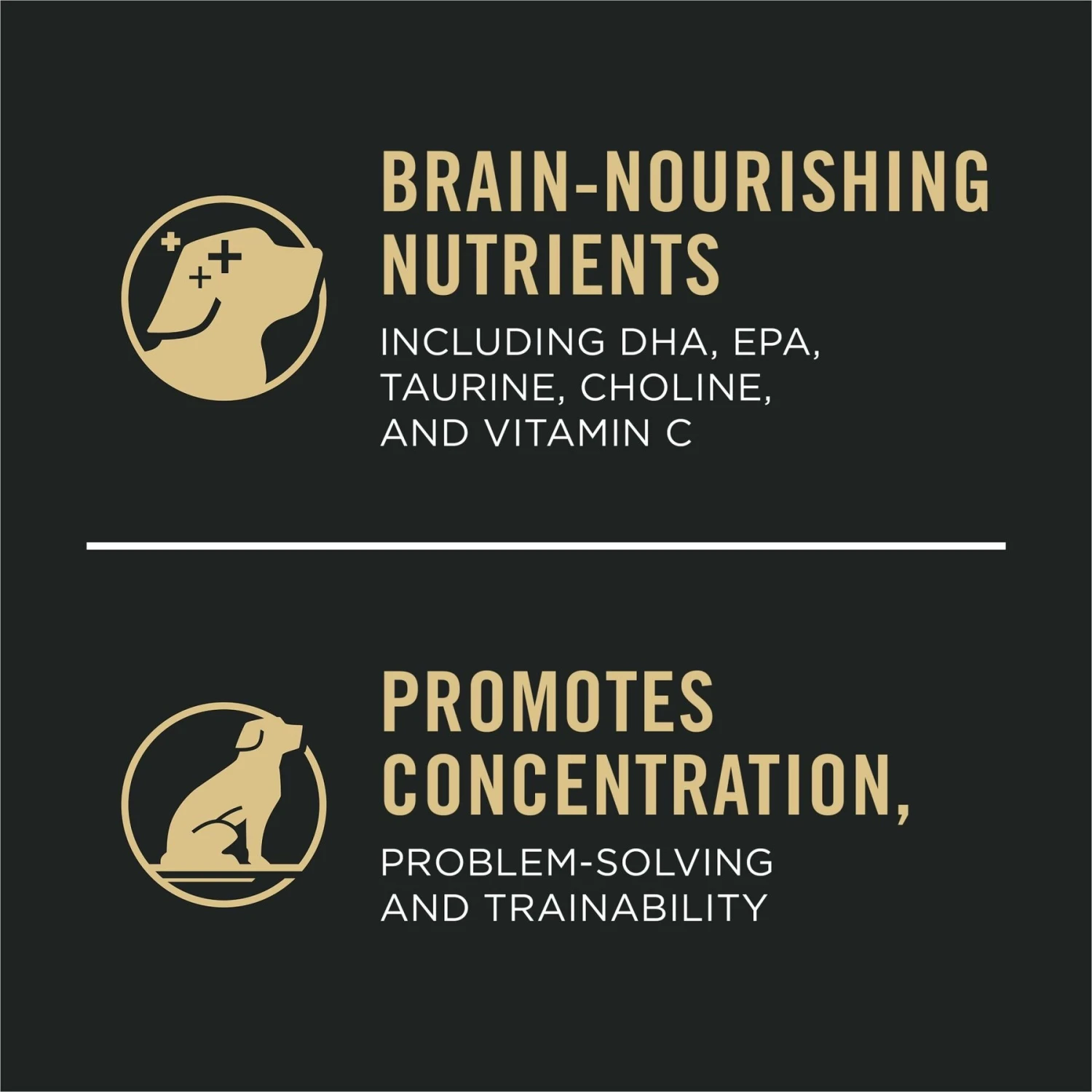 Purina Pro Plan Sport Development Large Breed High-Protein 30/18 Chicken & Rice Formula Puppy Food 11 Purina Pro Plan Sport Development Large Breed High-Protein 30/18 Chicken & Rice Formula Puppy Food - Image 9