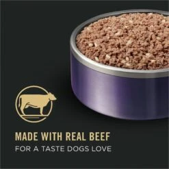 Purina Pro Plan Sport Development Puppy High Protein Beef & Rice Wet Dog Food, 13-oz Can, Case Of 12 12 Purina Pro Plan Sport Development Puppy High Protein Beef & Rice Wet Dog Food, 13-oz Can, Case Of 12 -Blue Buffalos Shop 352991 PT1. AC SS1800 V1638470809