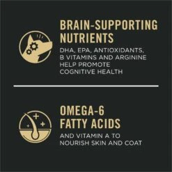 Purina Pro Plan Sport Performance Senior High-Protein 30/17 Chicken & Rice Formula Dog Food -Blue Buffalos Shop 352995 PT4. AC SS1800 V1649216838