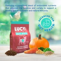 Lucy Pet Products Salmon, Pumpkin & Quinoa Small Bites Dog Food, 4.5-lbs Bag -Blue Buffalos Shop 353155 PT2. AC SS1800 V1641586644