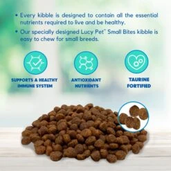Lucy Pet Products Salmon, Pumpkin & Quinoa Small Bites Dog Food, 4.5-lbs Bag -Blue Buffalos Shop 353155 PT3. AC SS1800 V1641587561