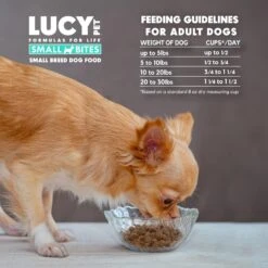 Lucy Pet Products Salmon, Pumpkin & Quinoa Small Bites Dog Food, 4.5-lbs Bag -Blue Buffalos Shop 353155 PT5. AC SS1800 V1641587242